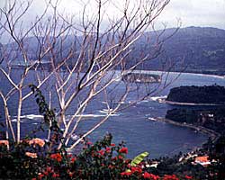 Jamaica's physical charms. Copyright Victoria Brooks.