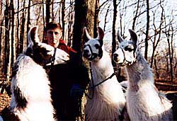 The three perfect ladies. Copyright Wyldewood Farms, Garth & Karen Gourlay