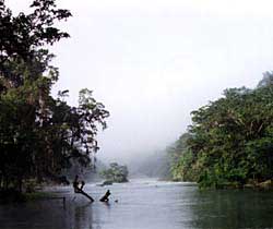 Morning mist rises off the Mopan River. Copyright Jim Johnson