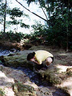 Clear mountain streams offer relief from sub-tropical heat. Copyright Jim Johnson