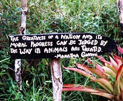The Belize Zoo takes pride in how it treats its residents. Copyright Jim Johnson