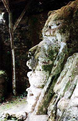 A massive profile marks the base of the ancient Mayan ruin at Altun Ha. Copyright Jim Johnson