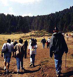 Tourists trek towards the towering firs to get a glimpse of the monarchs. Copyright Debbi Florence, 1999