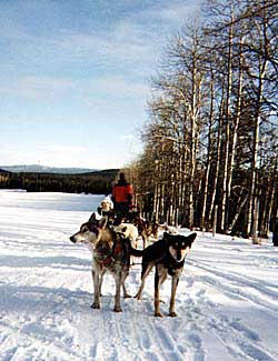 Copyright Tyson Brooks.