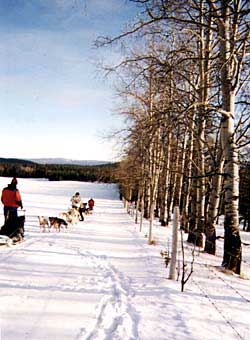 Copyright Tyson Brooks.