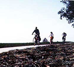 The Danube Bicycle Path offers 200 miles of carefree cycling - almost all downhill - along riverbanks and through rolling pastures. Copyright Jim Johnson