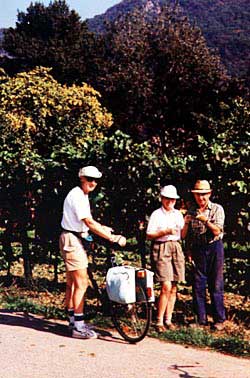 During the harvest, cyclists can stop for a taste of grapes -- or even sample wines in gardens and centuries-old cellars. Copyright Jim Johnson