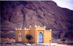 Desert at dawn. Copyright: Victoria Brooks, 1999.