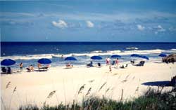 More than golf... Used with permission.