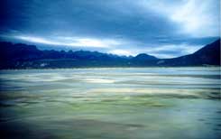 Shades of Blue. Copyright: Victoria Brooks, 1999.