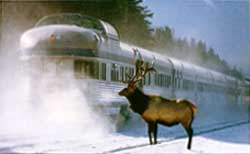 Waiting... Used with permissions, VIA Rail, 1999.