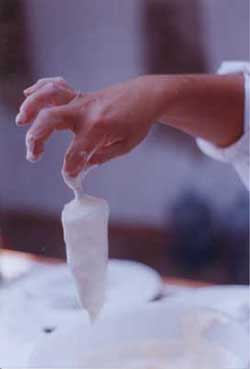  Feel the food! Used with permissions, Mexican Home Cooking, 1999